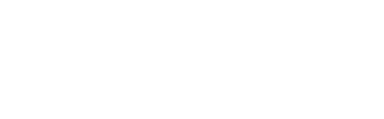 Logo P4M